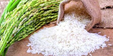 Comerciantes piden priorizar mercado local y controlar exportaciones
