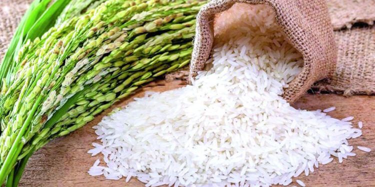 Comerciantes piden priorizar mercado local y controlar exportaciones