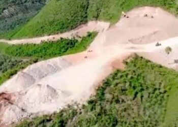 Condenan empresa agrícola por deforestación en Loma Redonda