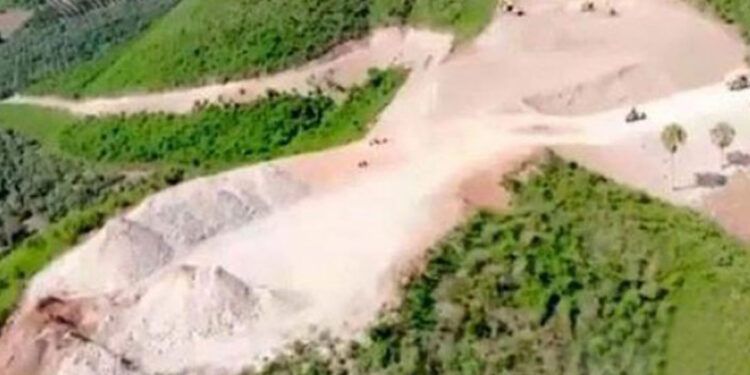 Condenan empresa agrícola por deforestación en Loma Redonda