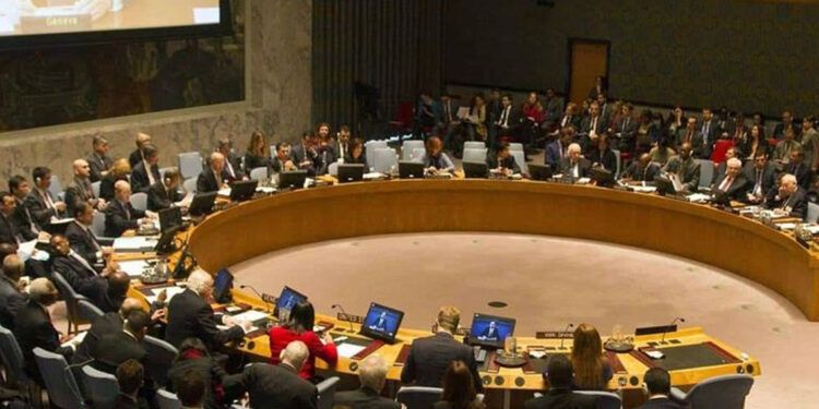Consejo de Seguridad de la ONU se reunirá por crisis en Venezuela