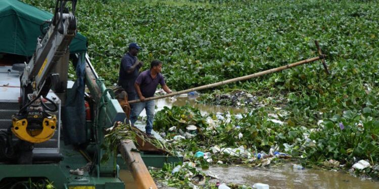 Continúan labores de limpieza en el Puente Flotante tras el paso de Melissa