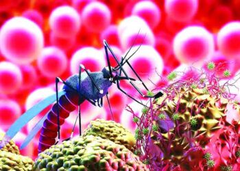 Crean mapa genético clave para combatir la malaria y su resistencia