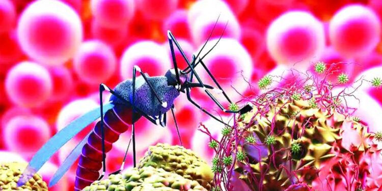 Crean mapa genético clave para combatir la malaria y su resistencia