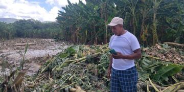 Crecidas de ríos destruyen plantaciones en Bahoruco