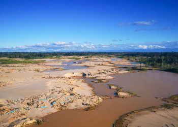 Daños ambientales por minería ilegal en la amazonía peruana
