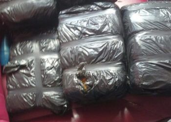Decomisan ocho pacas de marihuana en operativo militar en Azua