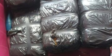 Decomisan ocho pacas de marihuana en operativo militar en Azua