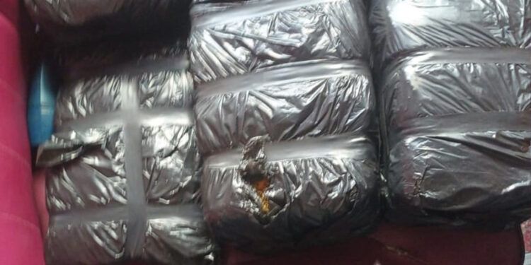 Decomisan ocho pacas de marihuana en operativo militar en Azua