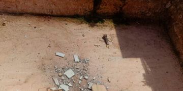 Derrumbe en obra causa alarma en Rómulo Betancourt