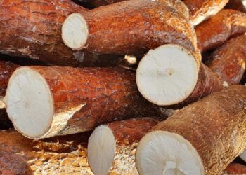 Desarticulan banda que traficaba cocaína oculta en cajas de yuca congelada