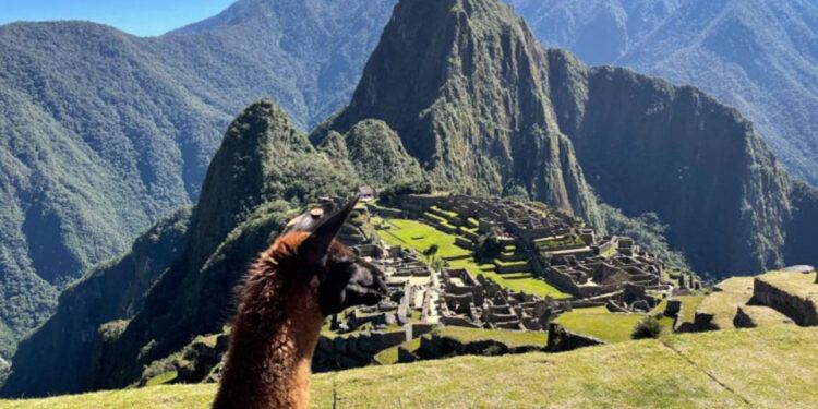 Desprendimiento de tierra cierra camino peatonal hacia Machu Picchu