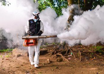 Disminuyen casos de dengue, malaria y leptospirosis en república dominicana