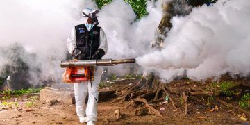 Disminuyen casos de dengue, malaria y leptospirosis en república dominicana