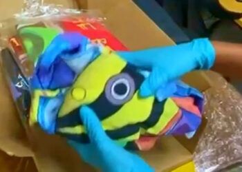 DNCD frustra envío de cocaína a España en toallas mojadas