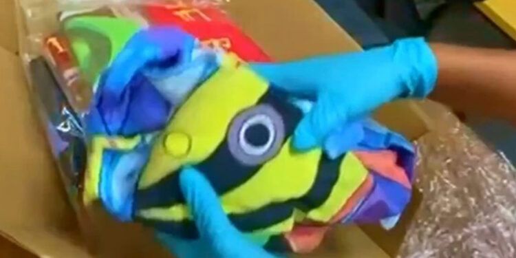 DNCD frustra envío de cocaína a España en toallas mojadas