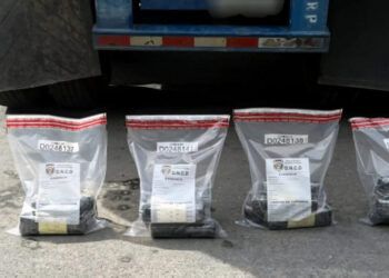 DNCD frustra envío de cocaína a Puerto Rico