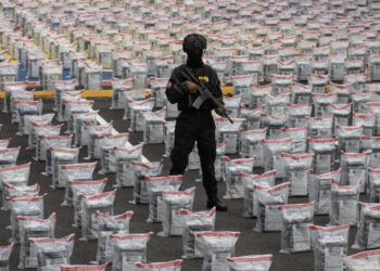 DNCD incauta más de 31 toneladas de drogas en 2025
