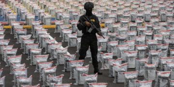 DNCD incauta más de 31 toneladas de drogas en 2025
