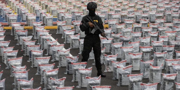 DNCD incauta más de 31 toneladas de drogas en 2025