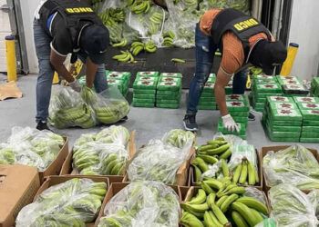 DNCD refuerza vigilancia en puertos y aeropuertos por la temporada navideña