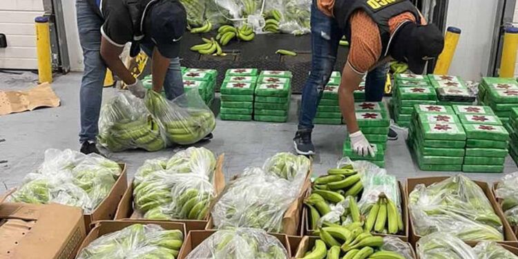 DNCD refuerza vigilancia en puertos y aeropuertos por la temporada navideña