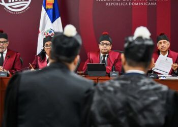 Dos jueces del TC critican sentencia por modificar candidaturas independientes