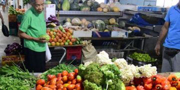 Tamayo al límite: altos precios hunden ventas y dejan a familias sin dinero