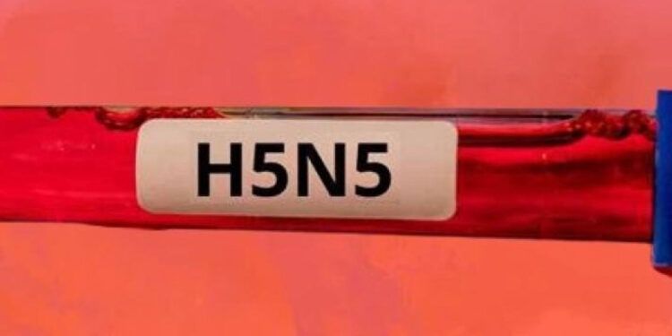 EE.UU. registra primera muerte por infección humana con cepa H5N5 de gripe aviar