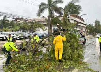 El ciclón beryl deja lluvias torrenciales en el sureste de méxico tras abandonar tierra