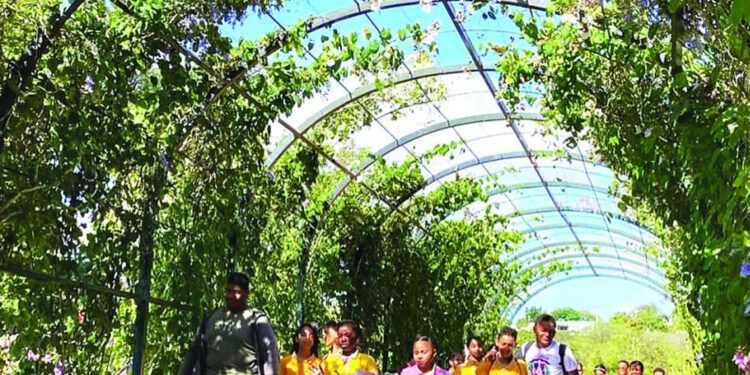 El Jardín Botánico de Santiago: Santuario de biodiversidad y educación