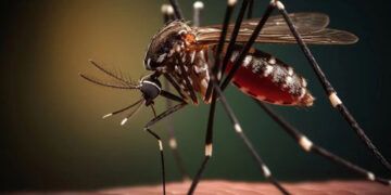 El Salvador mantiene enfoque en estrategias contra el dengue