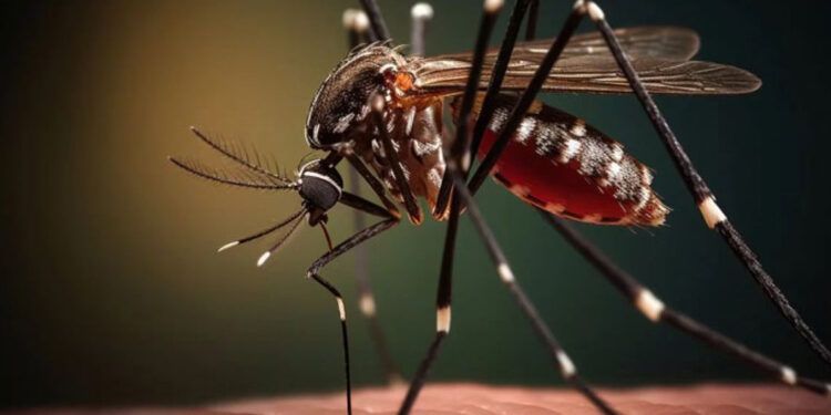 El Salvador mantiene enfoque en estrategias contra el dengue