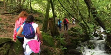Emiten nuevo protocolo para viajes escolares tras muerte de niña en excursión