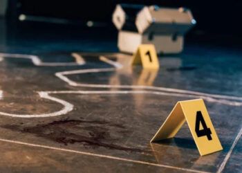 En 17 días del año se registran 56 homicidios y 3,547 robos en el país