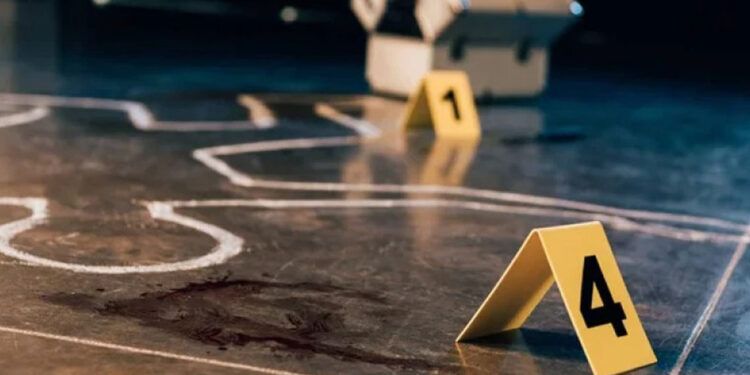 En 17 días del año se registran 56 homicidios y 3,547 robos en el país