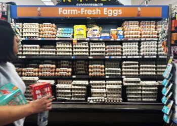 En Nueva York venden huevos por unidad por alza de precios
