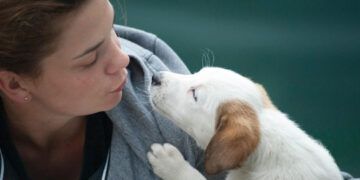 Ensayos prueban pastilla que podría alargar vida de los perros