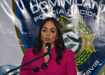 Faride Raful afirma que solo el Estado controla el territorio