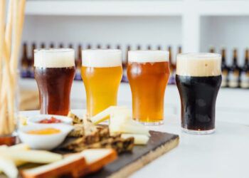 Guía rápida de cervezas: diferencias entre IPA, Pale Ale, Pilsner y Stout