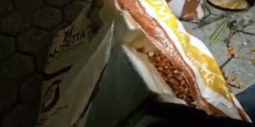 Hallan 435 kilos de cocaína en puerto italiano en envío de maníes