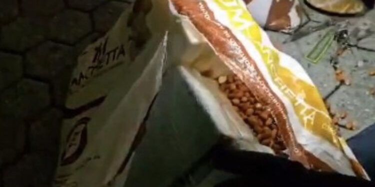 Hallan 435 kilos de cocaína en puerto italiano en envío de maníes
