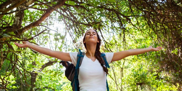 Imagen sobre como aprender a fortalecer la resiliencia en tu vida diaria