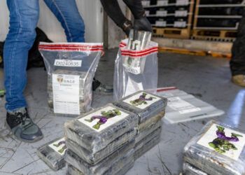 Incautan 120 paquetes de cocaína en Puerto Caucedo con destino a Londres