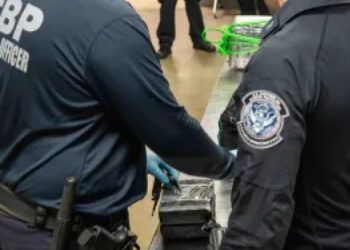 Incautan 165 kilos de cocaína en contenedor procedente de República Dominicana