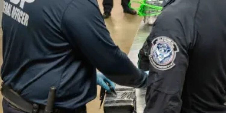 Incautan 165 kilos de cocaína en contenedor procedente de República Dominicana