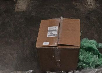 Incautan 18 libras de marihuana en el Aeropuerto de Las Américas