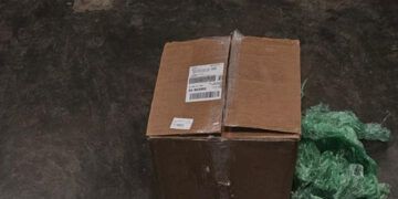 Incautan 18 libras de marihuana en el Aeropuerto de Las Américas