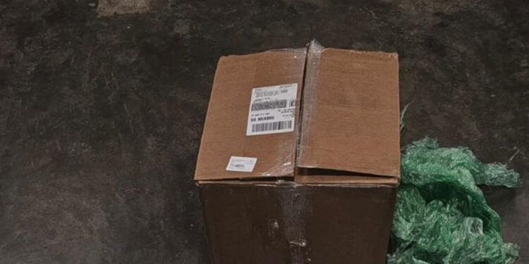 Incautan 18 libras de marihuana en el Aeropuerto de Las Américas