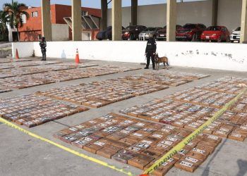 Incautan tres toneladas de cocaína en Ecuador en contenedor de banano